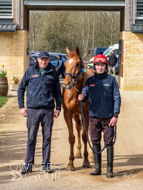 BP200326-70 - It's Hard To Know